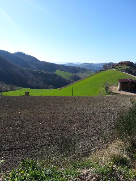Girfalco Country House Bed & Breakfast Urbino Luaran gambar